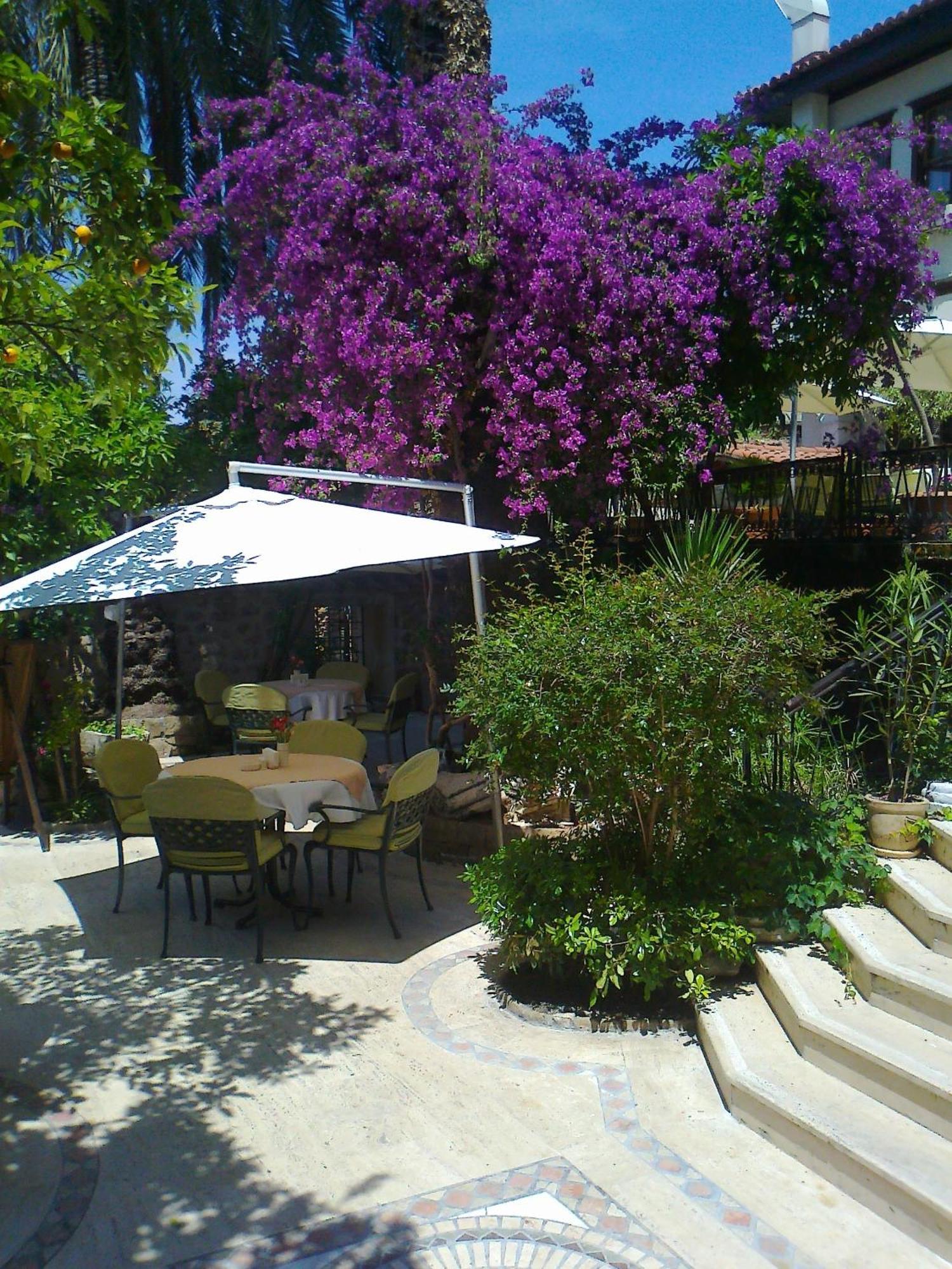 Dogan Hotel Antalya Luaran gambar